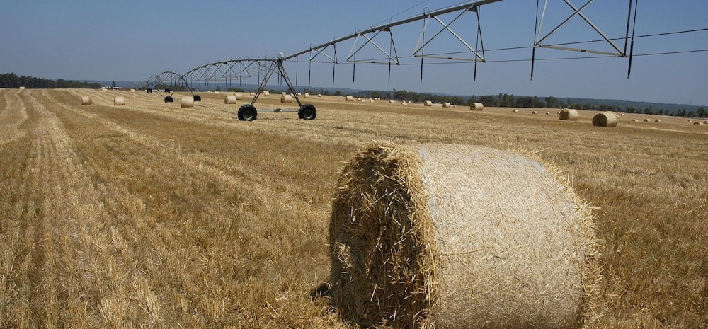 Europa vraagt burgers raad over toekomst landbouwbeleid