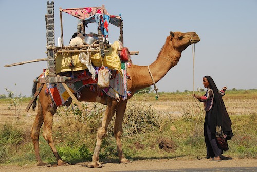 Gujarat, India