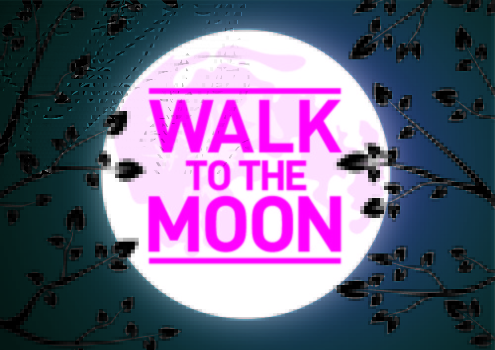 Think-Pink marche au clair de lune à Mons
