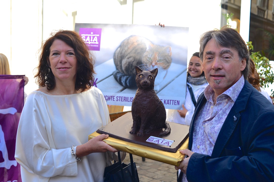 De Brusselse regering keurt de verplichte sterilisatie van alle katten goed