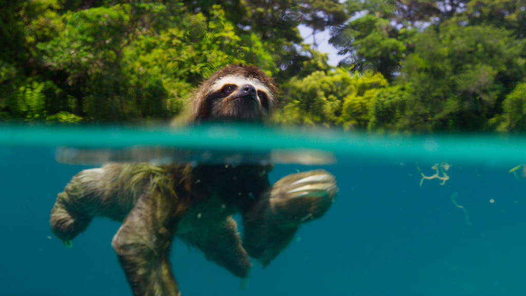 Planet Earth II - Islands - (c) BBC