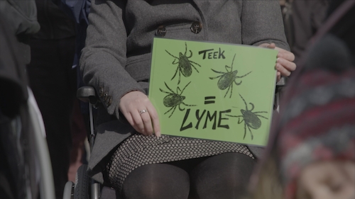 Chronische Lyme, epidemie of fantasie? - (c) VRT