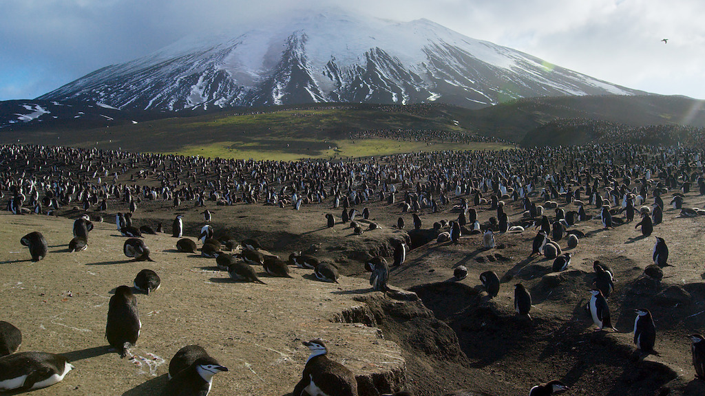 Planet Earth II - Islands - (c) BBC