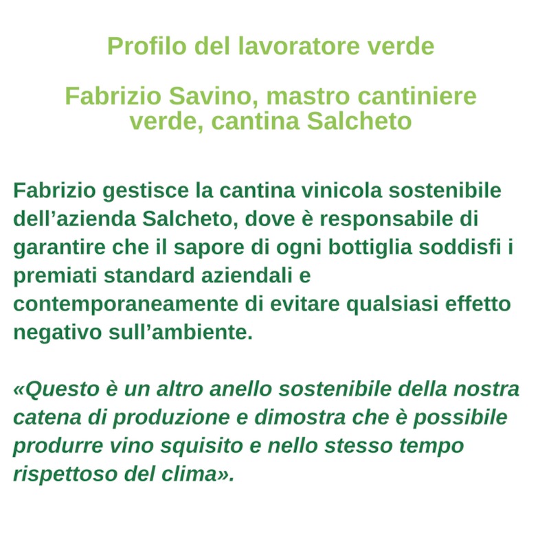Profilo del lavoratore verde - Fabrizio Savino