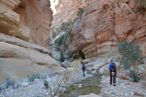 Jordanië - Wadi Rum