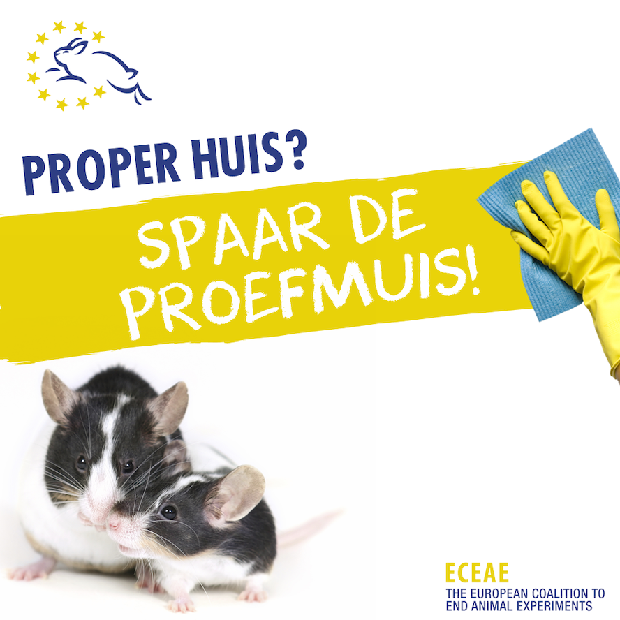 Proper huis? Spaar de proefmuis!