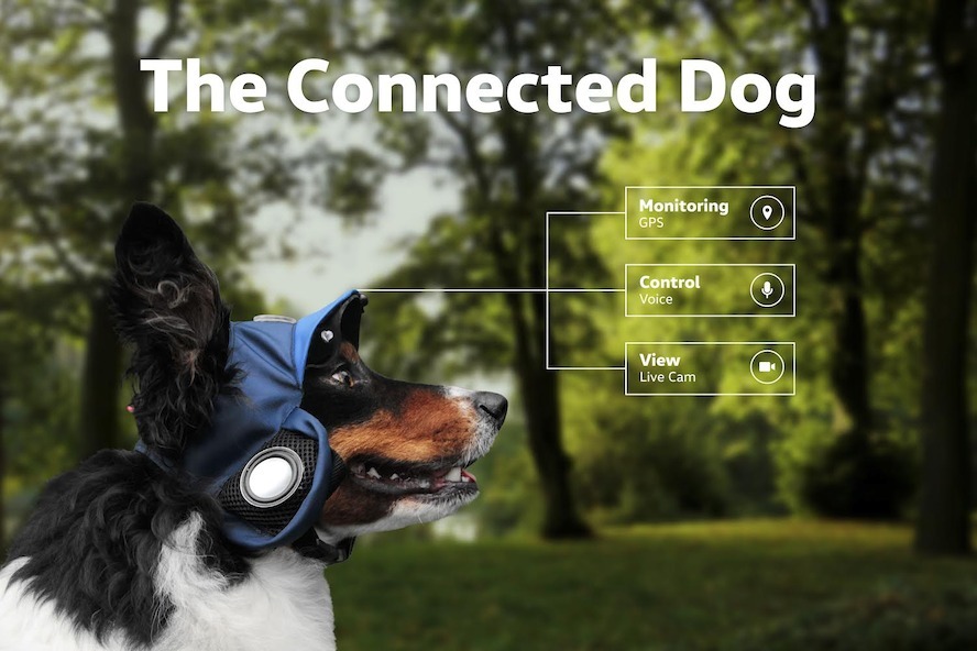 Volkswagen presenteert de ‘Connected Dog’.