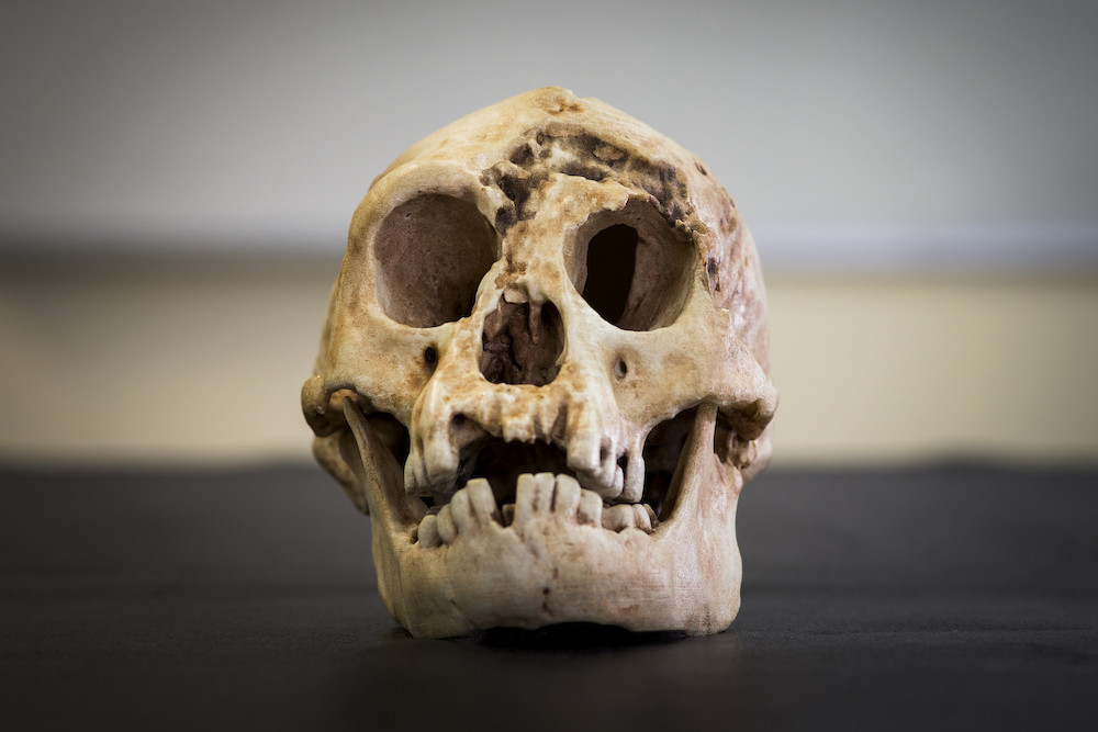 Origins of Indonesian ‘hobbits’ finally revealed