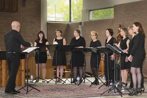 Amarylliszingt.be