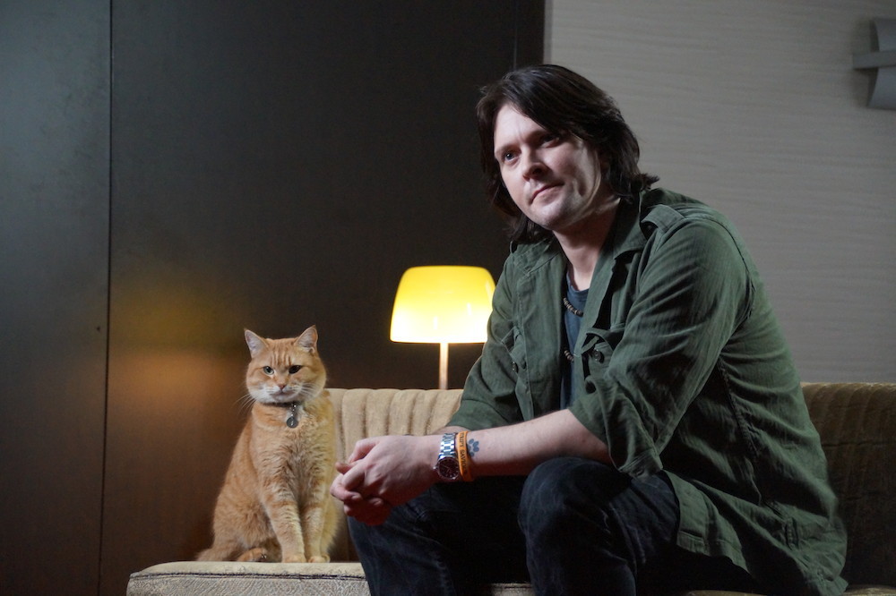 Bob the Street Cat gives furry high five to GAIA’s campaign for cat neutering