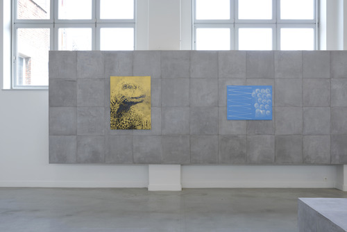 View of the exhibition Michael Van den Abeele. Opacity, please at M – Museum Leuven<br/>Courtesy Michael Van den Abeele. Photograph: Isabelle Arthuis