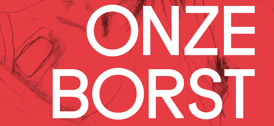 ONZE BORST. Dagboek van kanker - Lander Deweer