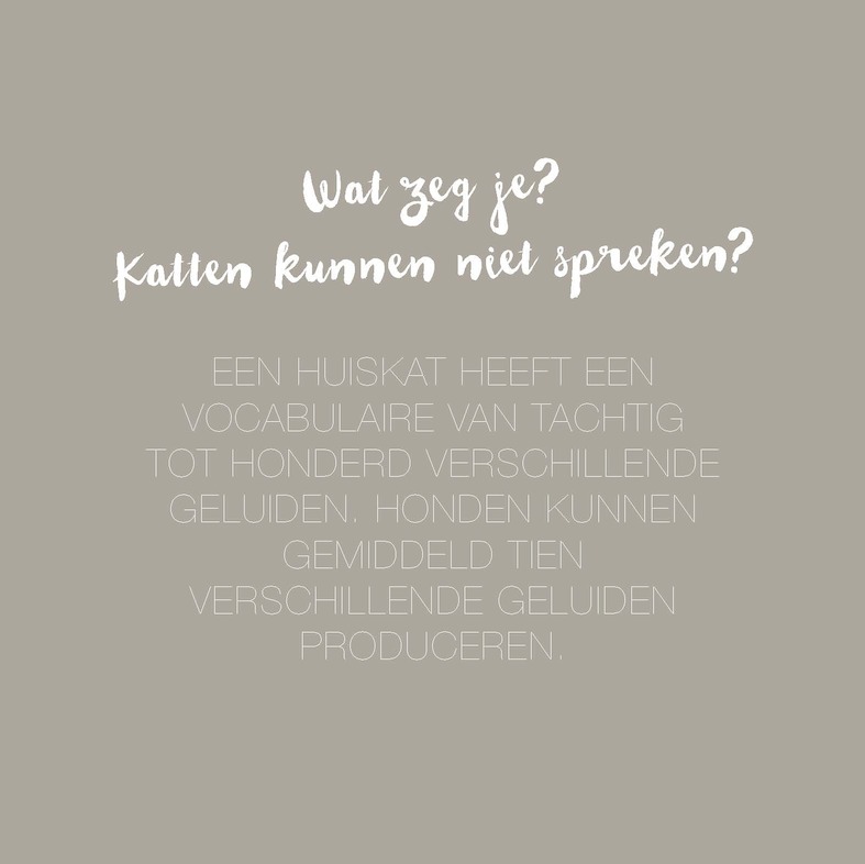 Vier poten op één buik