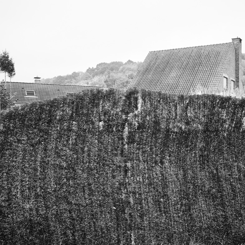 No Place Like Home<br/>2016 © Dieter Daemen