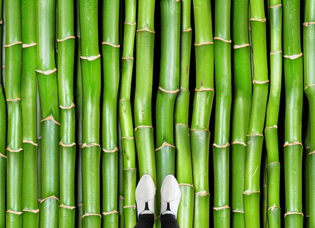 Bamboo | <br/>Bamboo Effect Vinyl Flooring