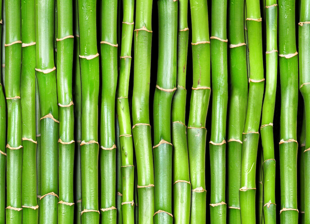 Bamboo | <br/>Bamboo Effect Vinyl Flooring