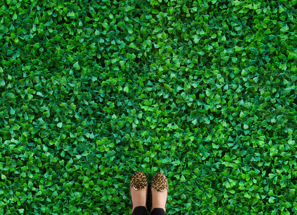 Clover | Plant Photographic Vinyl Flooring