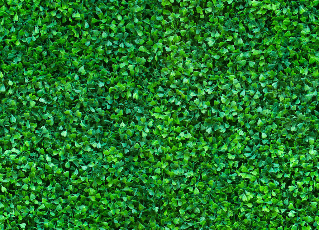 Clover | Plant Photographic Vinyl Flooring