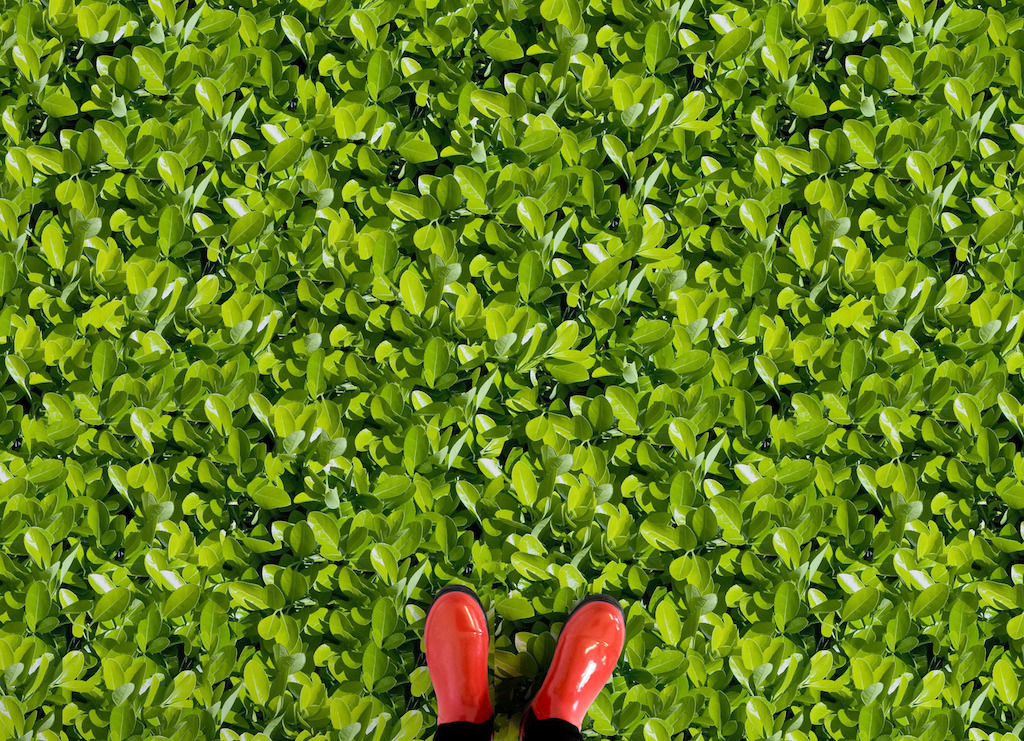 Foliage | Greenery Vinyl Flooring