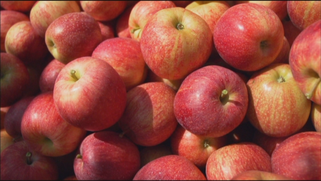 Koppen XL: Een appel elke dag