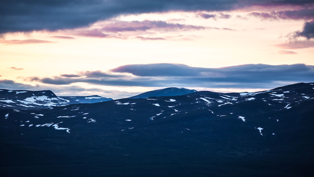 Midnight Sun - (c) Studiocanal