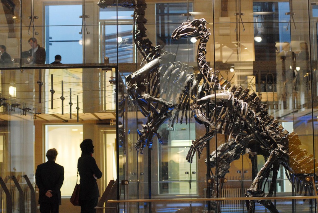 L'aile Jeanlet au Musée des Sciences Naturelles