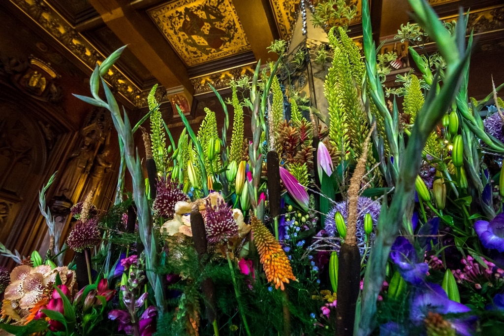 Flowertime 2015<br/>© Wim Vanmaele