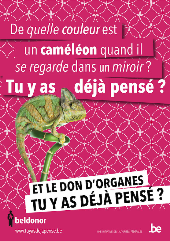 affiche Beldonor