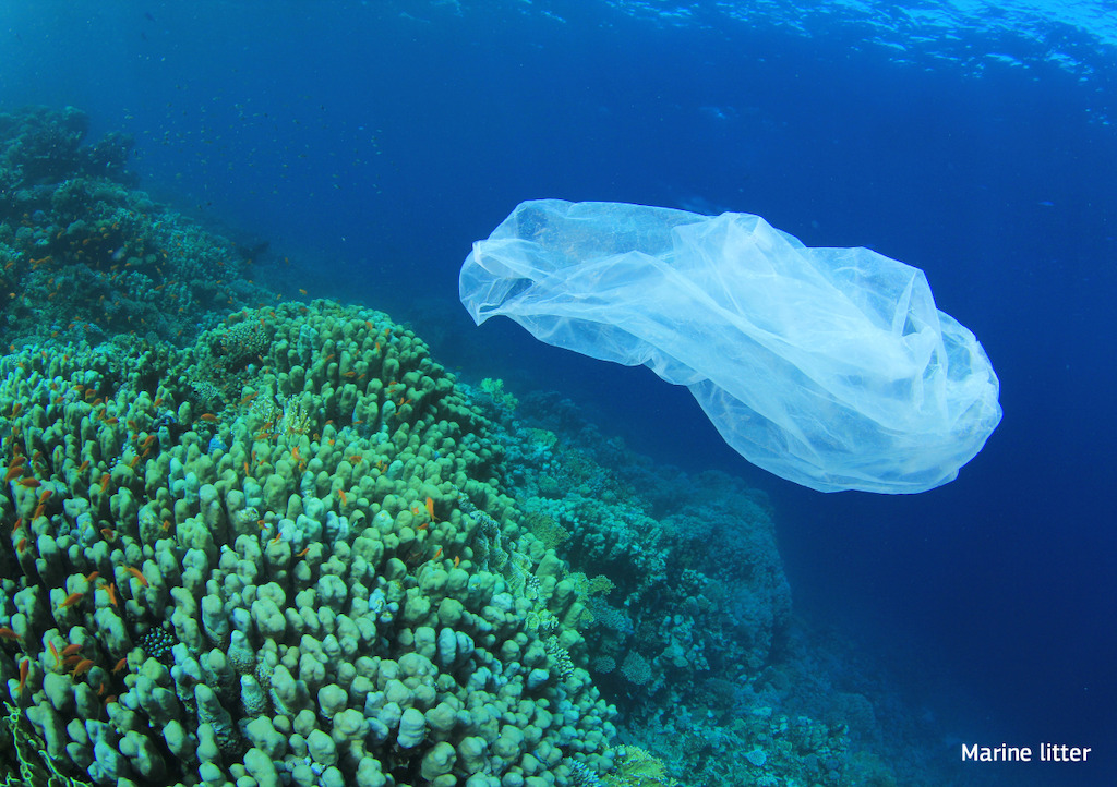 Marine Litter