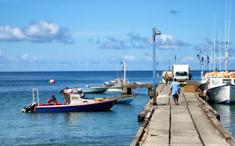 OECS prepares for Fisheries Subsidies Negotiations in the WTO