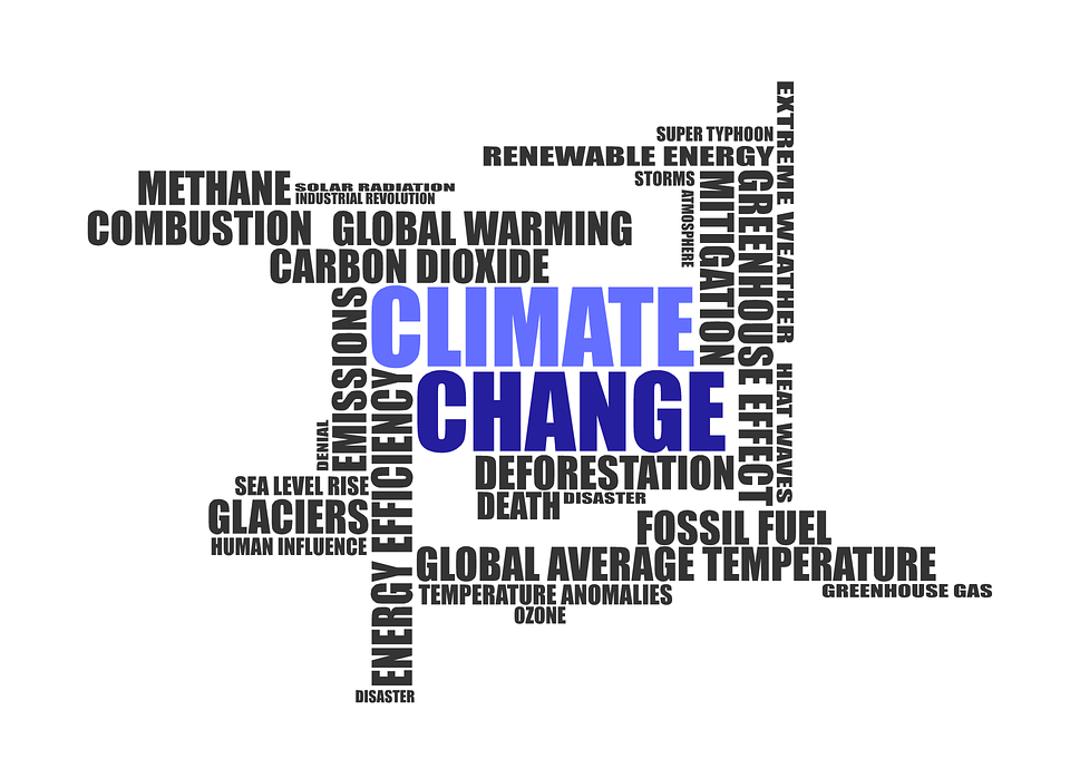 Vini Koze to engage the Public on Climate Change in the OECS