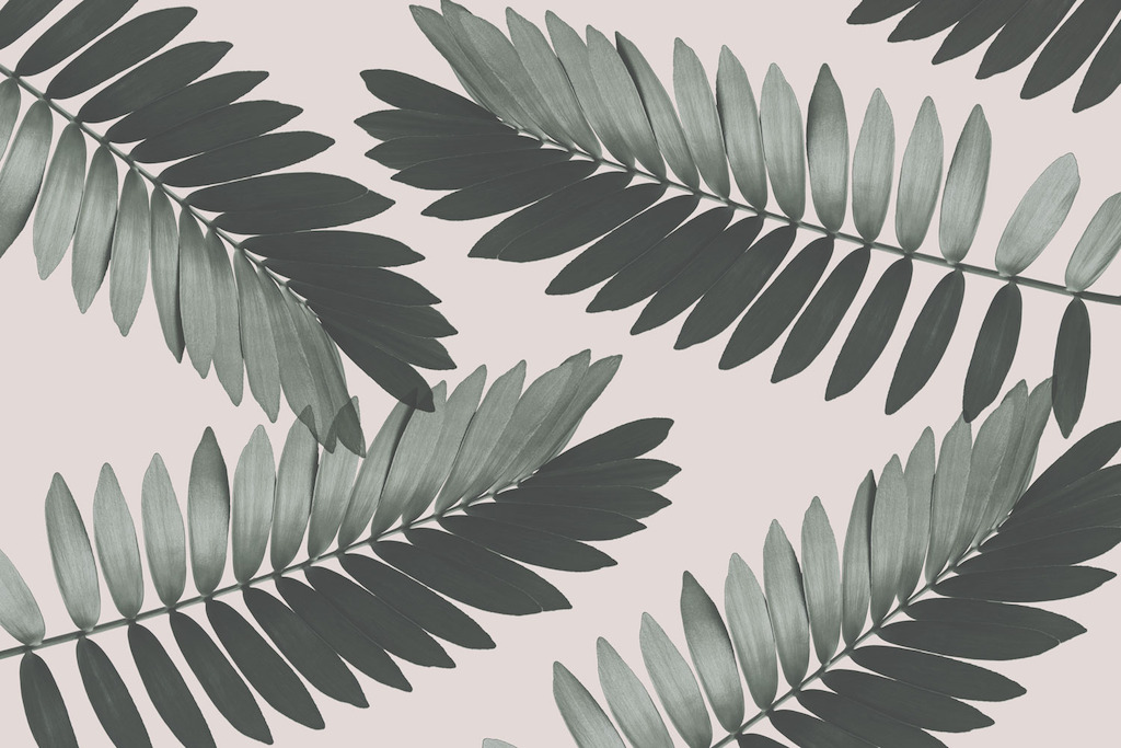Cardboard Palm
