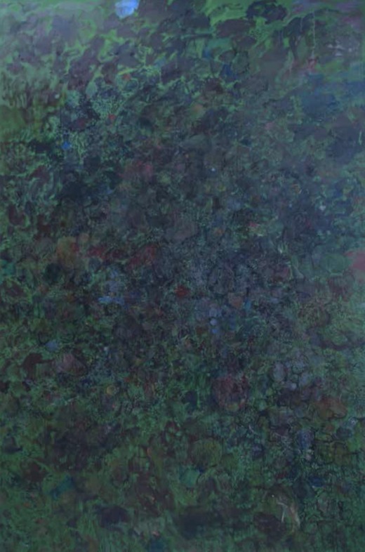 Lisa Maaranen - Soil