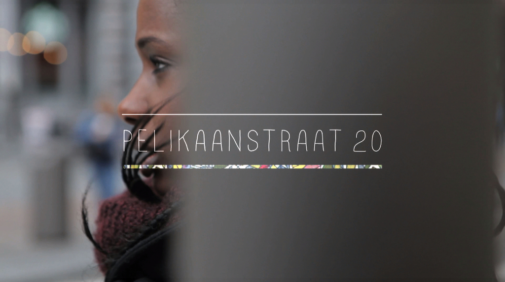Pelikaanstraat 20 - (c) Leslie Verbeeck