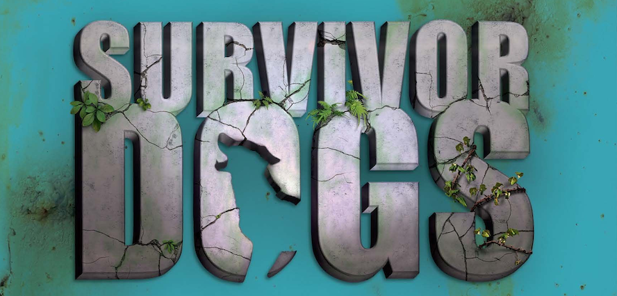 Survivor Dogs. Een verborgen vijand - Erin Hunter