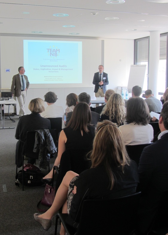 Michael Bothe, representing TEAM-NB, during his presentation