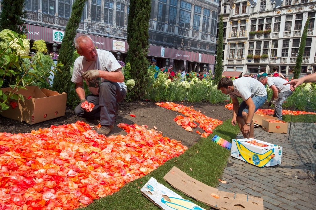 Flowertime 2015<br/>© Wim Vanmaele