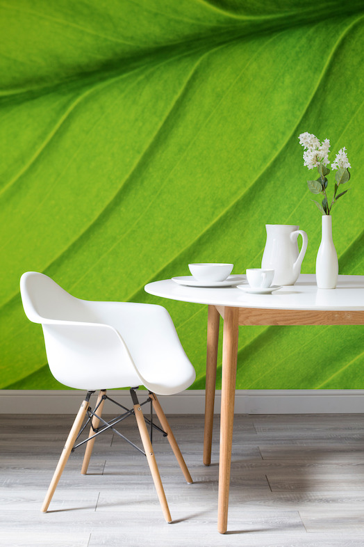 Giant Leaf Wall Mural