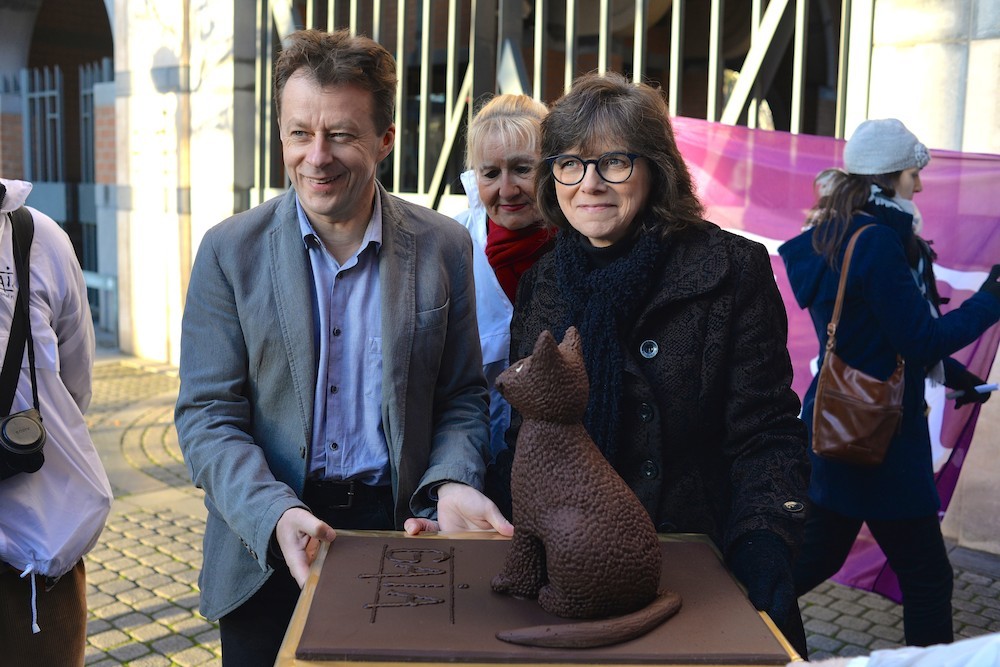 La stérilisation obligatoire de tous les chats domestiques entrera en vigueur en Wallonie à partir de mars 2017