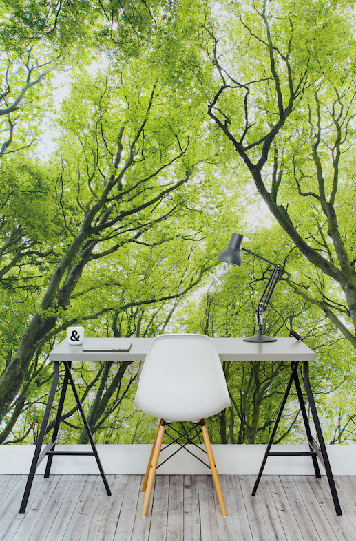 Bright Green Canopy Wall Mural