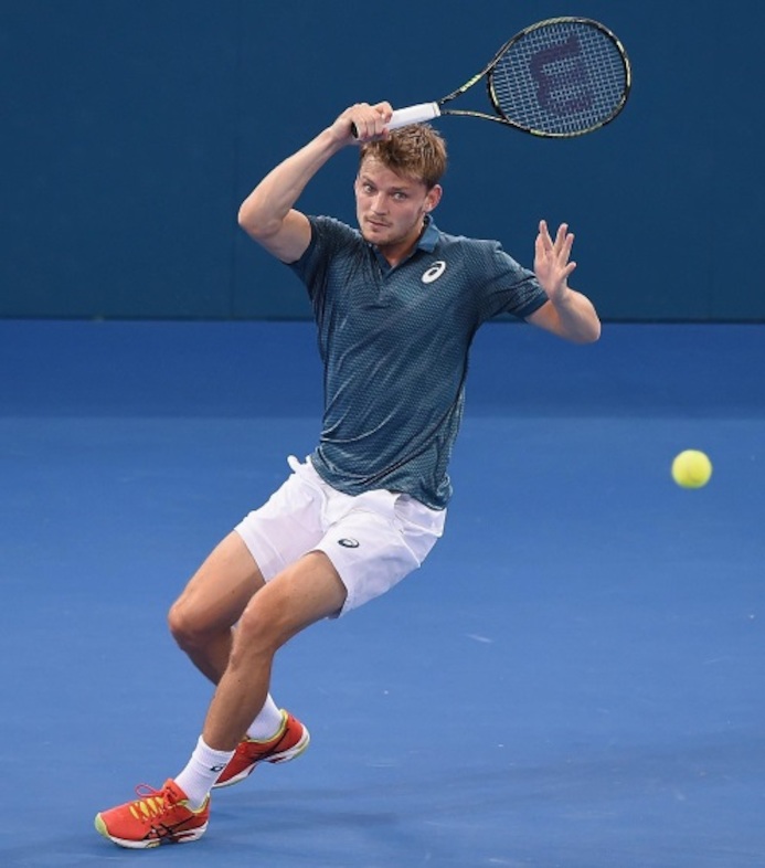 David Goffin
