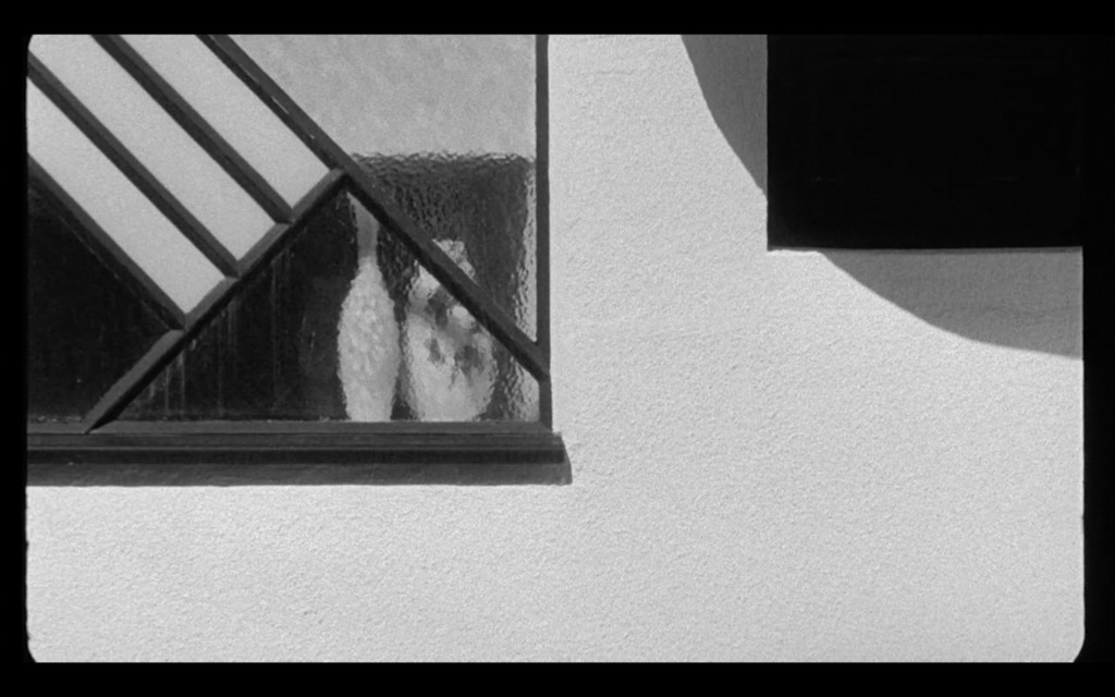 Marc Didden : Musée Sentimental - (c) Jonathan Wannyn