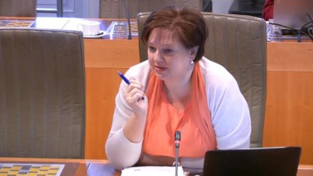 Martine Taelman, Vlaams volksvertegenwoordiger Open VLD