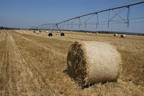 Europa vraagt burgers raad over toekomst landbouwbeleid