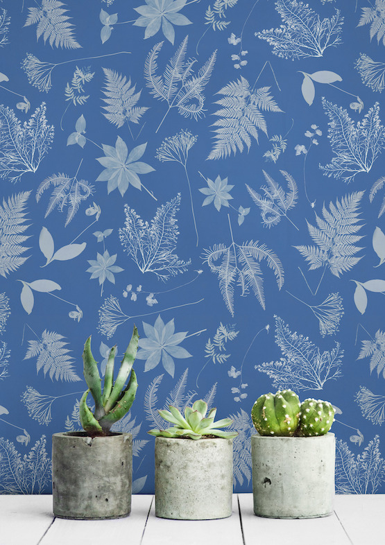 Anna Atkins - The Botanist