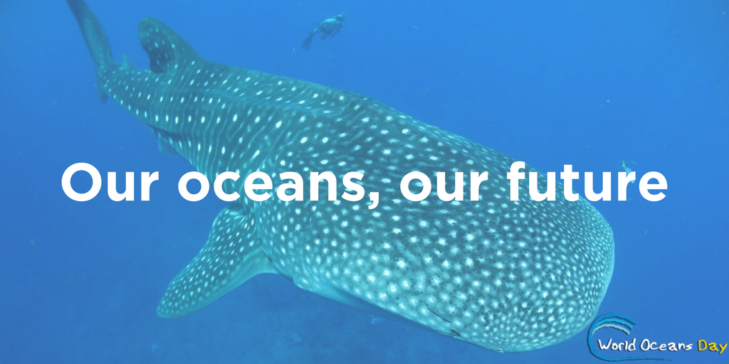 OECS Commission observes World Oceans Day