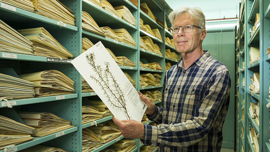Unlikely pair of plants named after stars of movie 'Twins'
