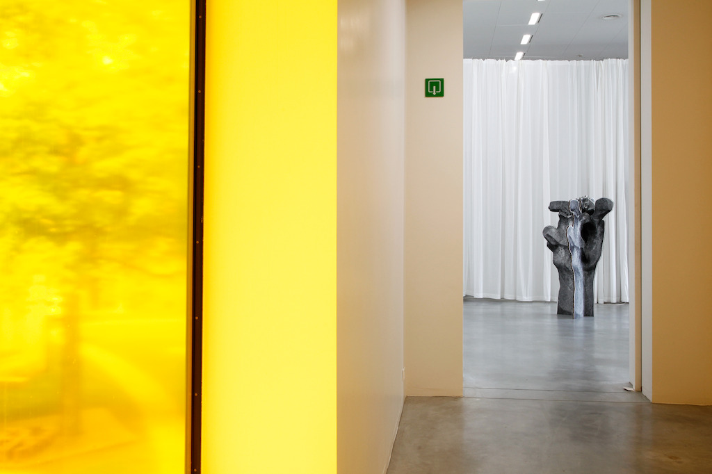 Gelbes Fenster (2005) & Katzenbaum (2016) © 2016 KK / www.document-architecture.com