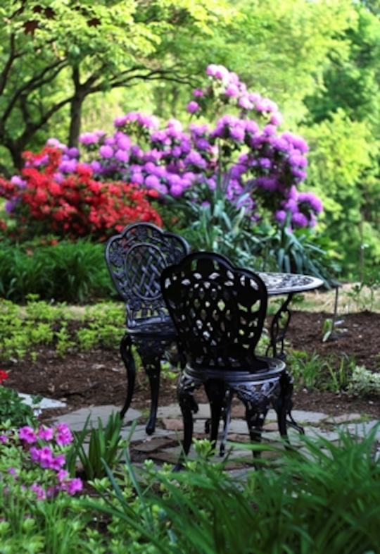 Garden Oasis (Photo credit to Pike Nurseries)