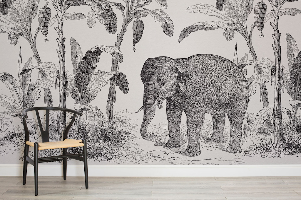 Loxodonta